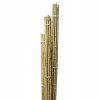 Bambu Çubuk 2m 20 Adet 20-30mm Bambu Çubuk 2m 20 Adet 20-30mm