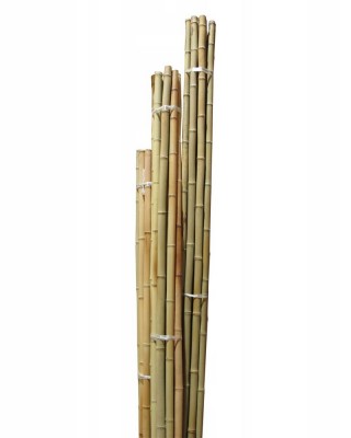 Bambu Çubuk 2m 20 Adet 20-30mm