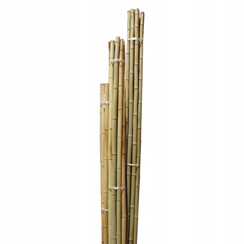 Bambu Çubuk 2m 20 Adet 20-30mm Bambu Çubuk 2m 20 Adet 20-30mm