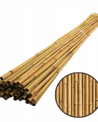 Bambu Çubuk 3m 20 Adet 20-30mm