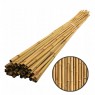 Bambu Çubuk 3m 20 Adet 20-30mm