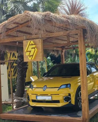 Doğal Püskül Otu - Saçak Otu - 1.5m x 3m