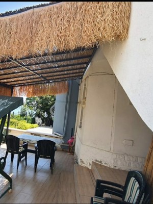 Doğal Püskül Otu - Saçak Otu - 50cm x 200cm Şeritli Doğal Püskül Otu - Saçak Otu - 50cm x 200cm Şeritli