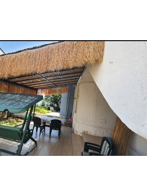 Doğal Püskül Otu - Saçak Otu - 50cm x 200cm Şeritli Doğal Püskül Otu - Saçak Otu - 50cm x 200cm Şeritli