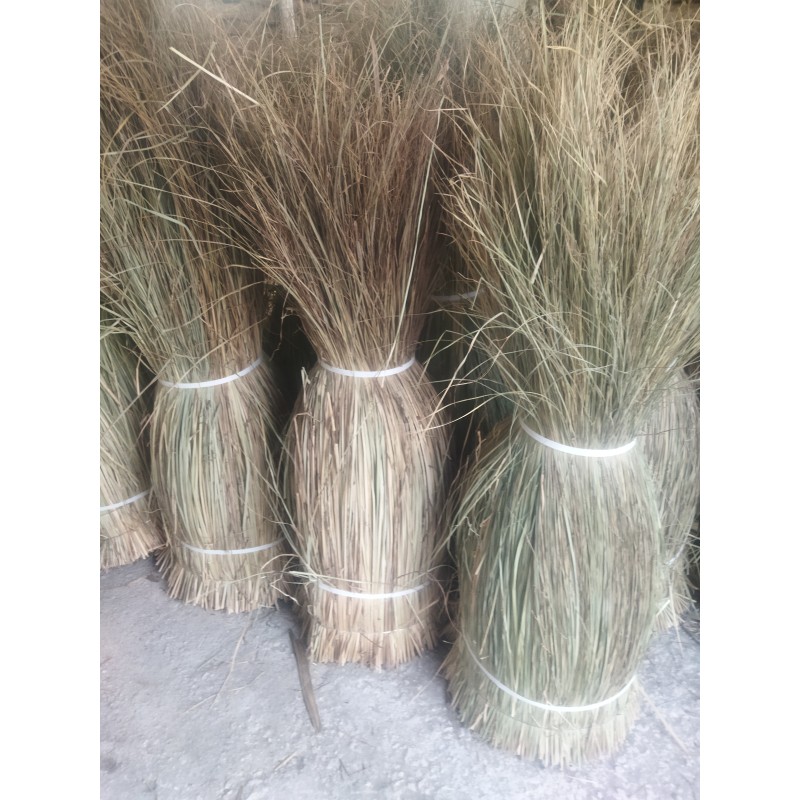 Doğal Püskül Otu - Saçak Otu - 1.5m x 2m Doğal Püskül Otu - Saçak Otu - 1.5m x 2m