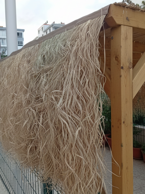 Doğal Püskül Otu - Saçak Otu - 75cm x 300cm Şeritli Doğal Püskül Otu - Saçak Otu - 75cm x 300cm Şeritli