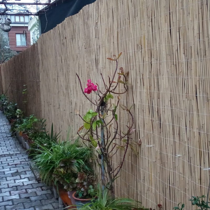 Orta Boy Doğal Hasır Kamış Çit 1.5m x 3m Orta Boy Doğal Hasır Kamış Çit 1.5m x 3m